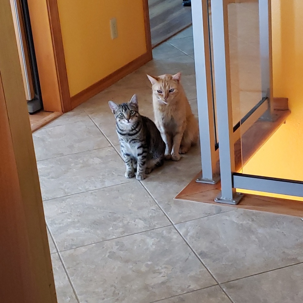 Meet your Posher, Vanya